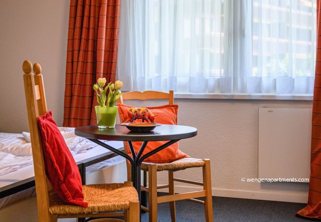 Apartment in Wengen - Chalet Primula Penthouse Apartment in Wengen - Chalet Primula Penthouse