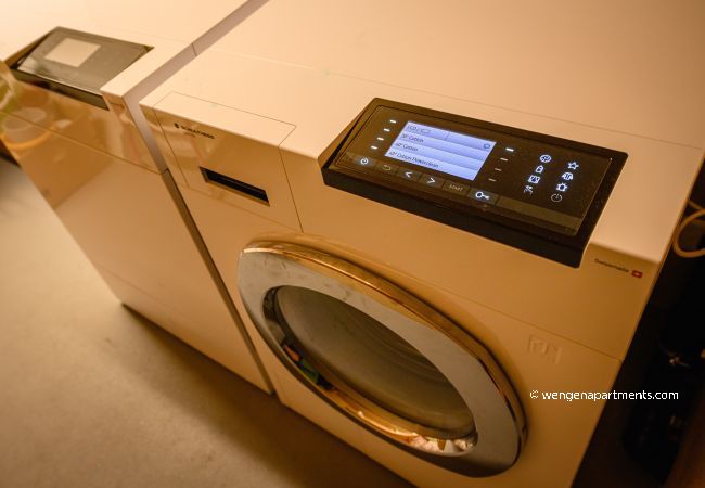 Apartment in Wengen - Chalet Primula Penthouse Apartment in Wengen - Chalet Primula Penthouse