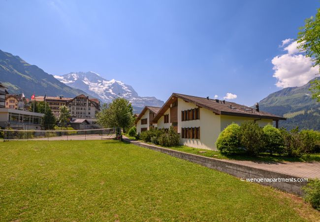 Apartment in Wengen - Chalet Primula Penthouse Apartment in Wengen - Chalet Primula Penthouse