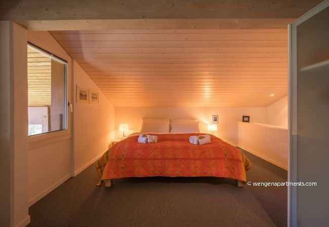Apartment in Wengen - Chalet Primula Penthouse Apartment in Wengen - Chalet Primula Penthouse