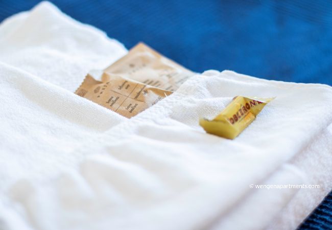 Apartment in Wengen - Chalet Steingärtli 1 Apartment in Wengen - Chalet Steingärtli 1