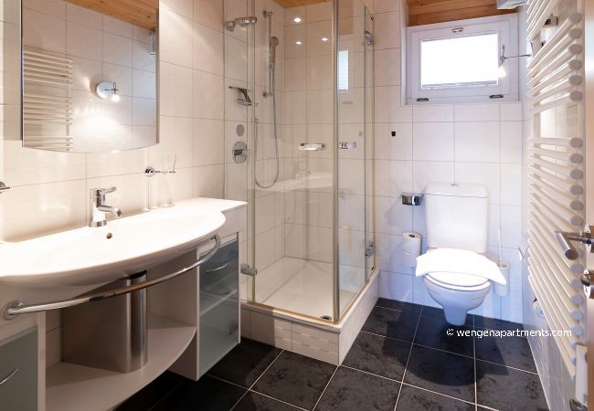 Apartment in Wengen - Chalet Steingärtli 1 Apartment in Wengen - Chalet Steingärtli 1