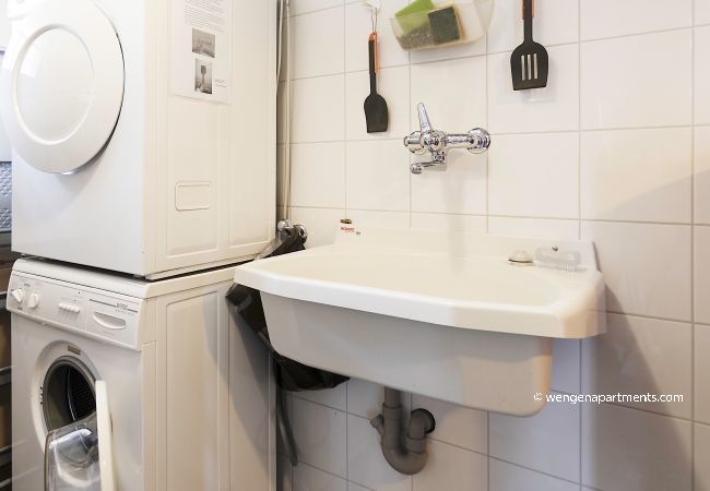 Apartment in Wengen - Chalet Steingärtli 1 Apartment in Wengen - Chalet Steingärtli 1