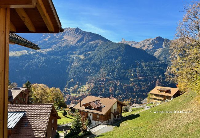 Apartment in Wengen - Chalet Sterndolde Penthouse Apartment in Wengen - Chalet Sterndolde Penthouse