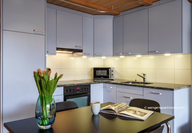 Apartment in Wengen - Kinohaus 7 Apartment in Wengen - Kinohaus 7