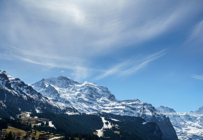 Apartment in Wengen - Kinohaus 7 Apartment in Wengen - Kinohaus 7