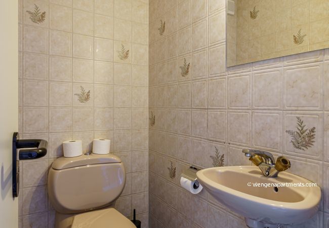 Apartment in Wengen - Chalet Krokus 6 Apartment in Wengen - Chalet Krokus 6