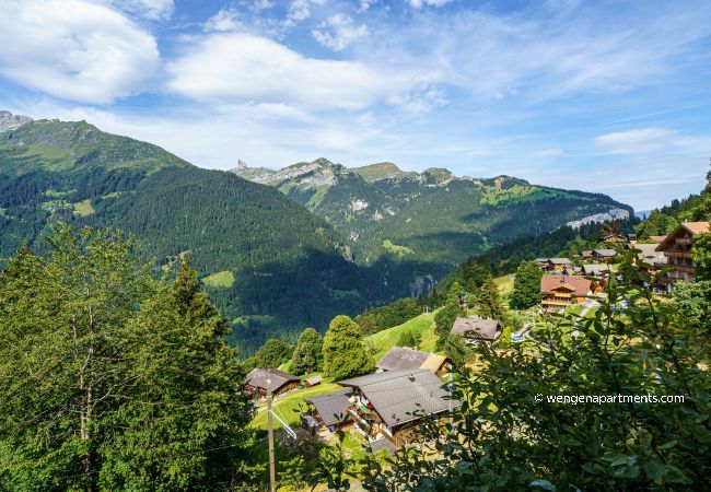 Apartment in Wengen - Chalet Krokus 6 Apartment in Wengen - Chalet Krokus 6