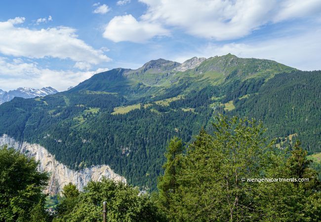 Apartment in Wengen - Chalet Krokus 6 Apartment in Wengen - Chalet Krokus 6