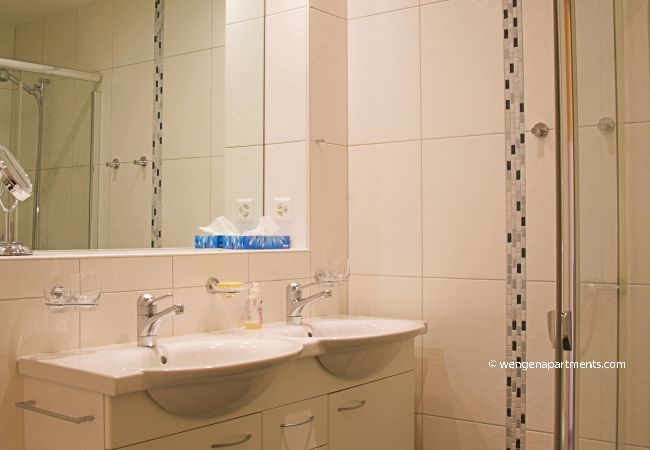 Apartment in Wengen - Chalet Bella Vista 12 Penthouse Apartment in Wengen - Chalet Bella Vista 12 Penthouse