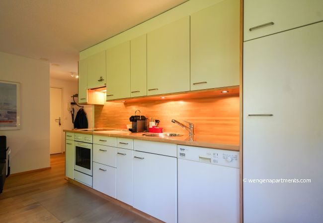 Apartment in Wengen - Chalet Luise 3 Apartment in Wengen - Chalet Luise 3