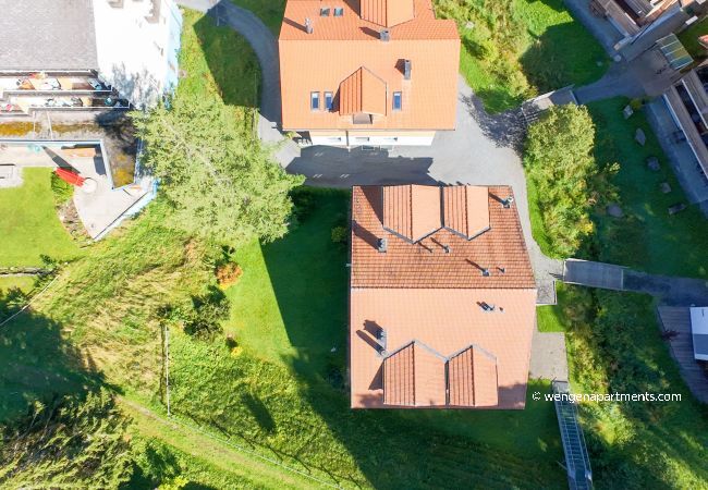 Apartment in Wengen - Chalet Luise 3 Apartment in Wengen - Chalet Luise 3