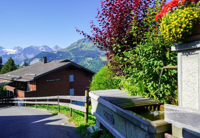 Apartment in Wengen - Chalet Luise 3 Apartment in Wengen - Chalet Luise 3