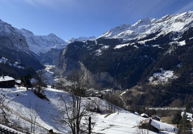 Apartment in Wengen - Chalet am Bluemewäg 7 Apartment in Wengen - Chalet am Bluemewäg 7