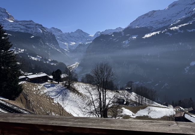 Apartment in Wengen - Chalet am Bluemewäg 7 Apartment in Wengen - Chalet am Bluemewäg 7