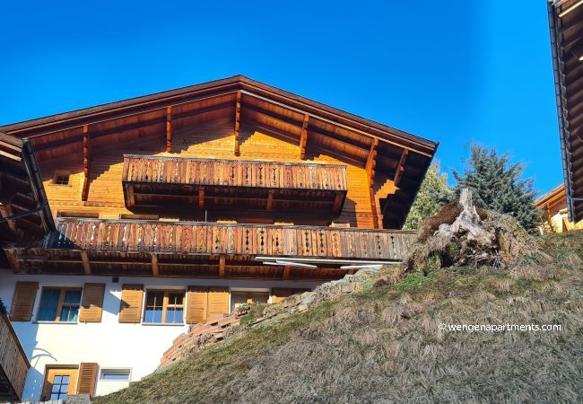 Apartment in Wengen - Chalet am Bluemewäg 7 Apartment in Wengen - Chalet am Bluemewäg 7