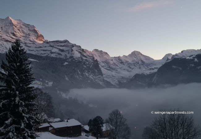 Apartment in Wengen - Chalet am Bluemewäg 7 Apartment in Wengen - Chalet am Bluemewäg 7