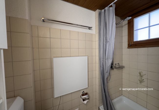 Apartment in Wengen - Chalet am Bluemewäg 7 Apartment in Wengen - Chalet am Bluemewäg 7