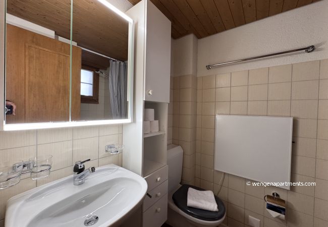 Apartment in Wengen - Chalet am Bluemewäg 7 Apartment in Wengen - Chalet am Bluemewäg 7