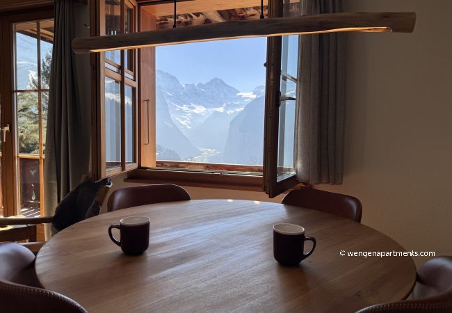 Apartment in Wengen - Chalet am Bluemewäg 7 Apartment in Wengen - Chalet am Bluemewäg 7