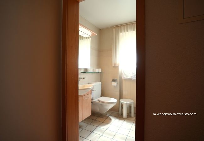 Apartment in Wengen - Chalet Miravalle 2 Apartment in Wengen - Chalet Miravalle 2