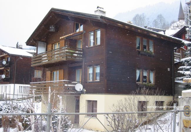 Apartment in Wengen - Chalet Gerbera 2 Apartment in Wengen - Chalet Gerbera 2