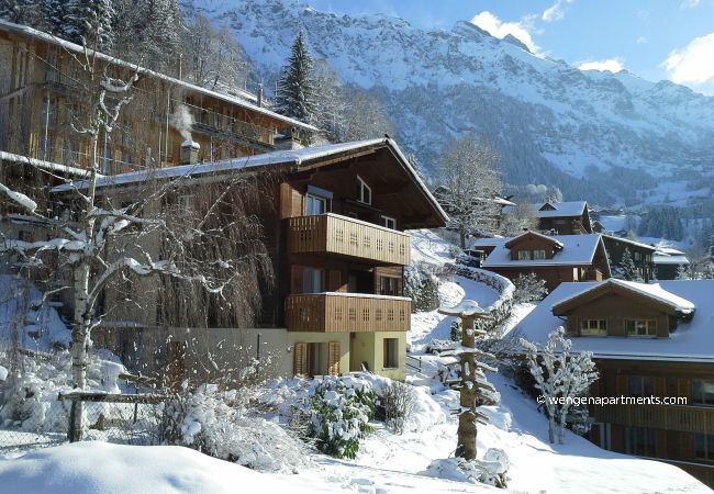 Apartment in Wengen - Chalet Gerbera 2 Apartment in Wengen - Chalet Gerbera 2