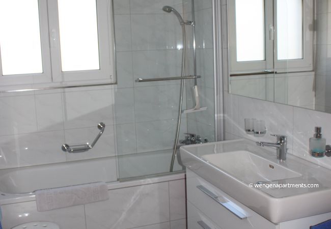 Apartment in Wengen - Chalet Gerbera 2 Apartment in Wengen - Chalet Gerbera 2