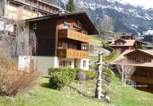 Apartment in Wengen - Chalet Gerbera 2 Apartment in Wengen - Chalet Gerbera 2