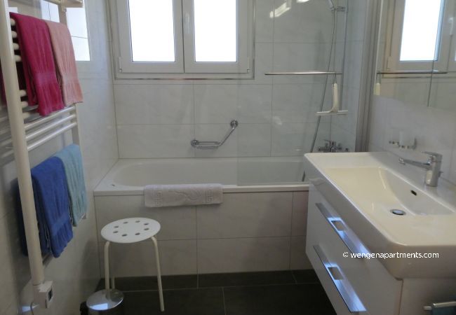 Apartment in Wengen - Chalet Gerbera 2 Apartment in Wengen - Chalet Gerbera 2