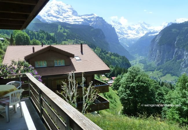 Apartment in Wengen - Chalet Gerbera 2 Apartment in Wengen - Chalet Gerbera 2
