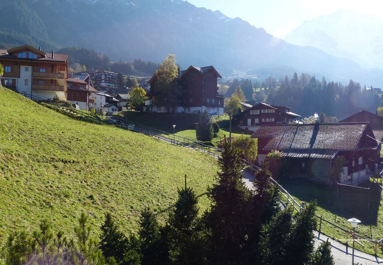 Apartment in Wengen - Chalet Bergkristall Apartment in Wengen - Chalet Bergkristall