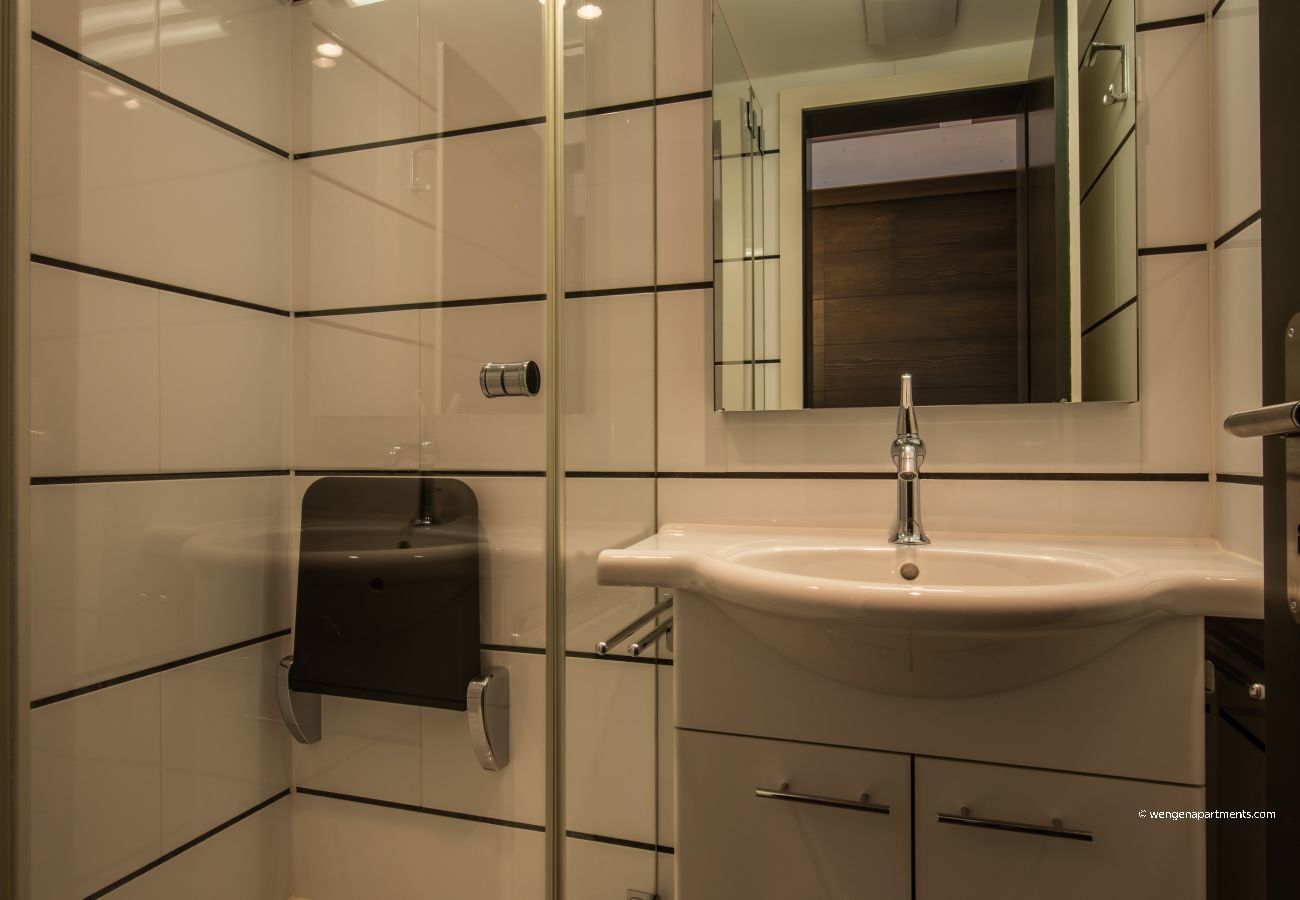 Apartment in Wengen - Chalet Schneehoren Penthouse Apartment in Wengen - Chalet Schneehoren Penthouse