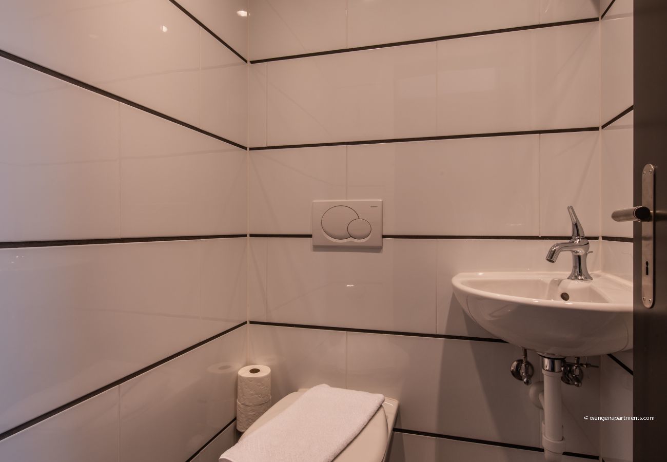 Apartment in Wengen - Chalet Schneehoren Penthouse Apartment in Wengen - Chalet Schneehoren Penthouse