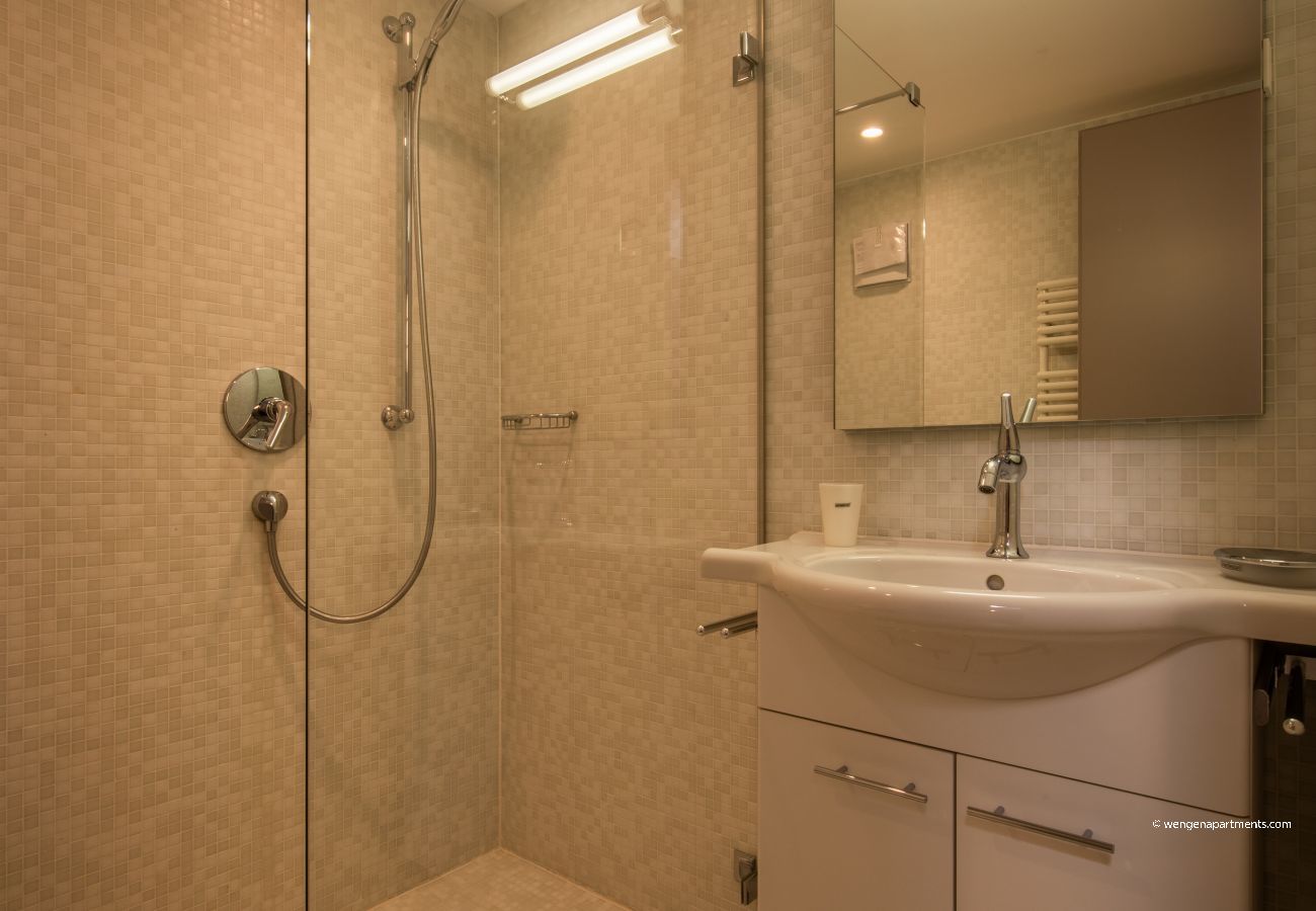 Apartment in Wengen - Chalet Schneehoren Penthouse Apartment in Wengen - Chalet Schneehoren Penthouse