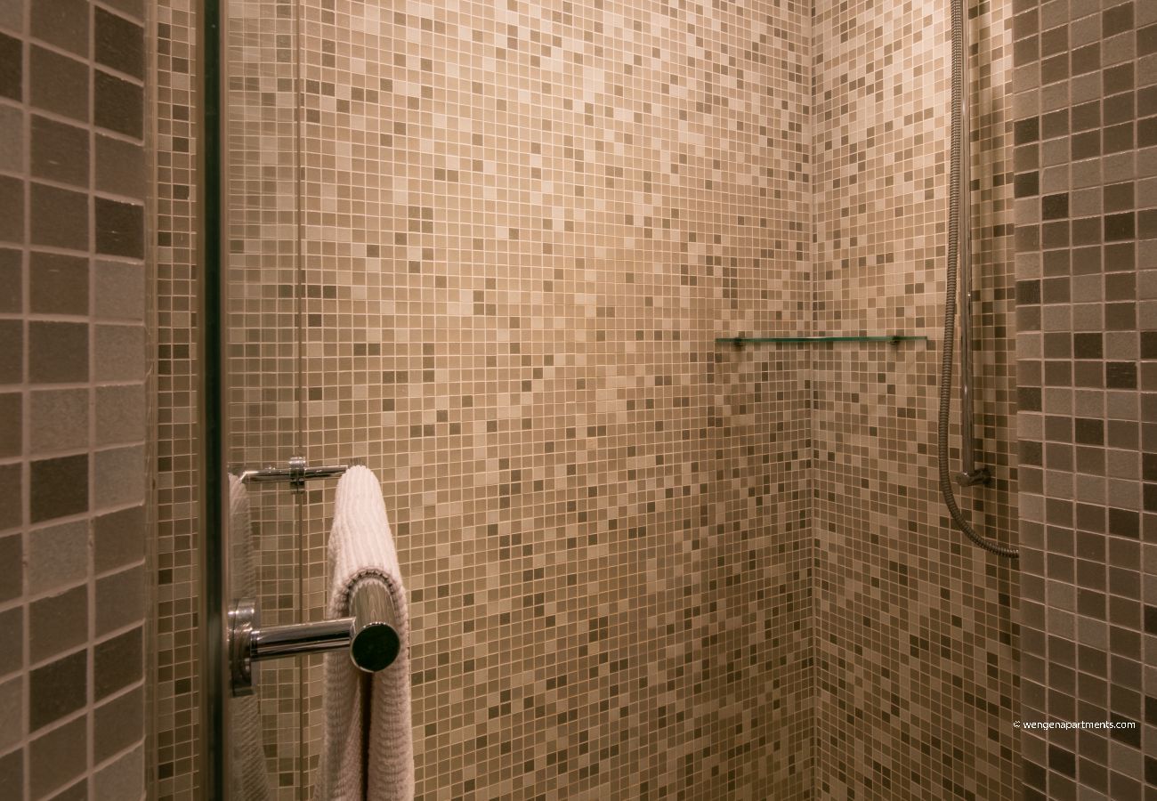 Apartment in Wengen - Chalet Primula Penthouse Apartment in Wengen - Chalet Primula Penthouse