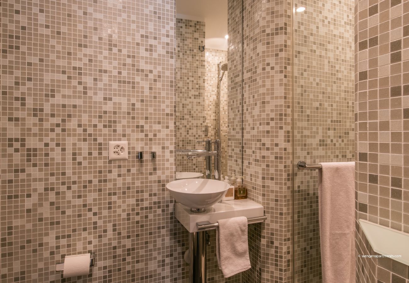 Apartment in Wengen - Chalet Primula Penthouse Apartment in Wengen - Chalet Primula Penthouse