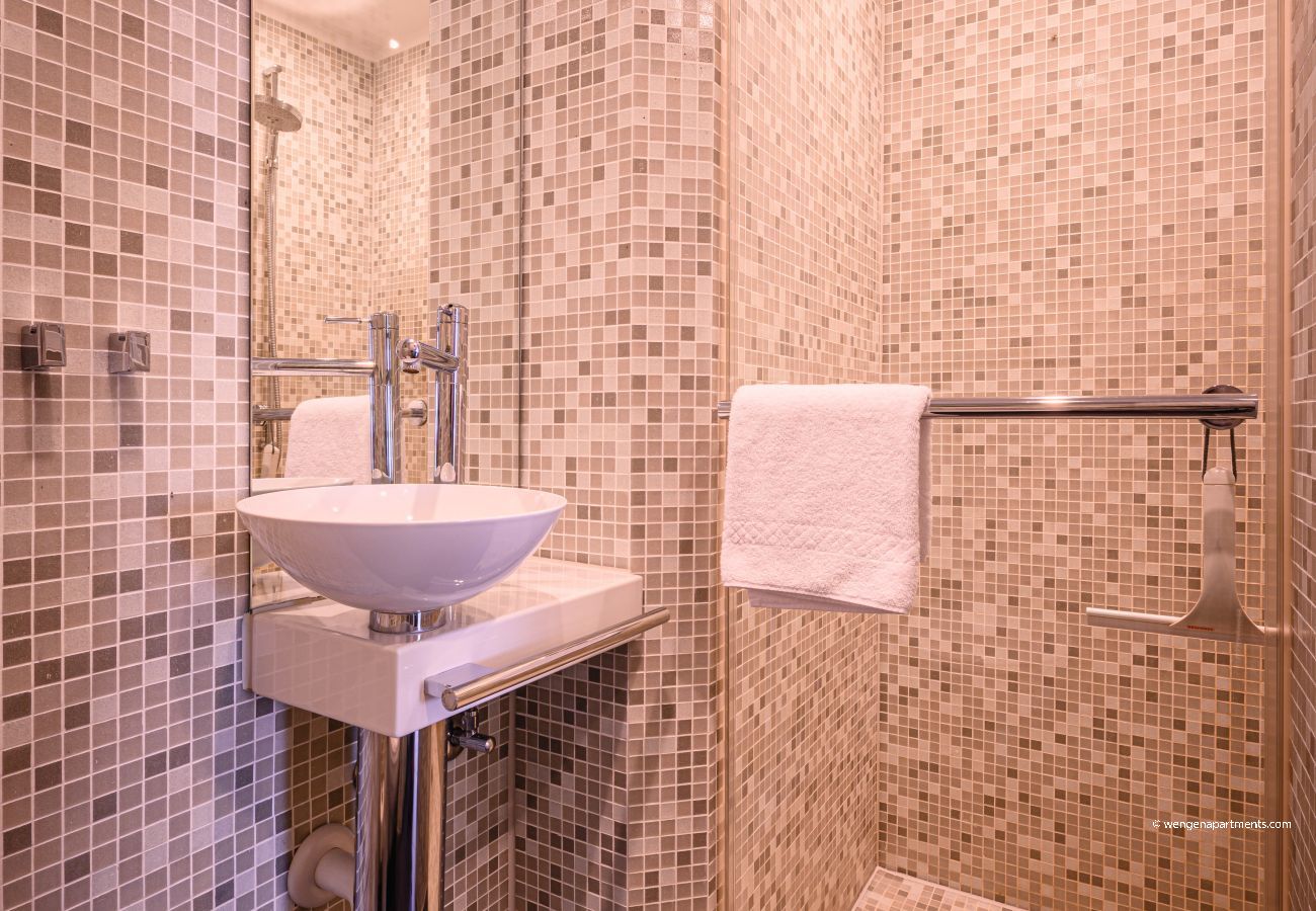 Apartment in Wengen - Chalet Primula Penthouse Apartment in Wengen - Chalet Primula Penthouse