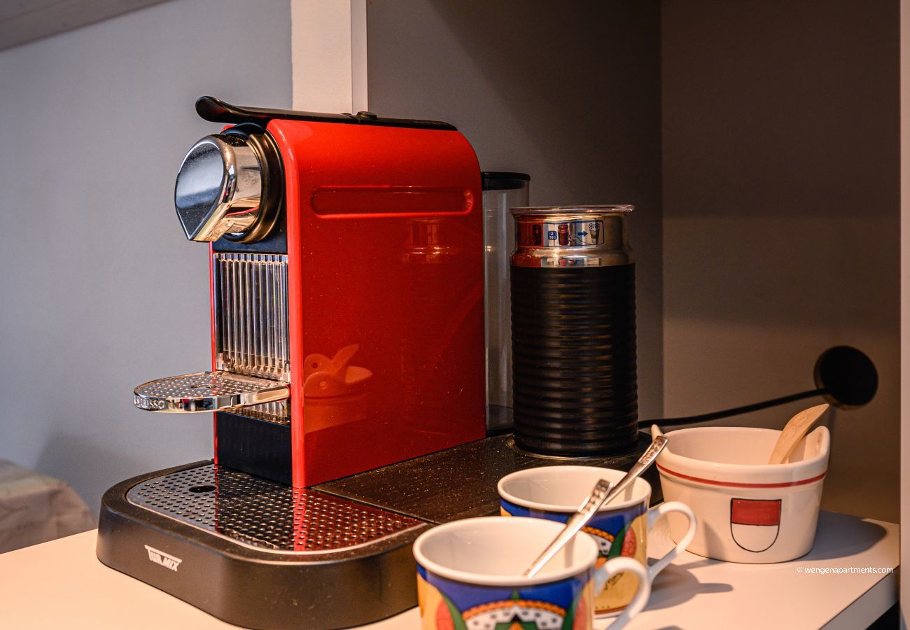 Apartment in Wengen - Chalet Primula Penthouse Apartment in Wengen - Chalet Primula Penthouse