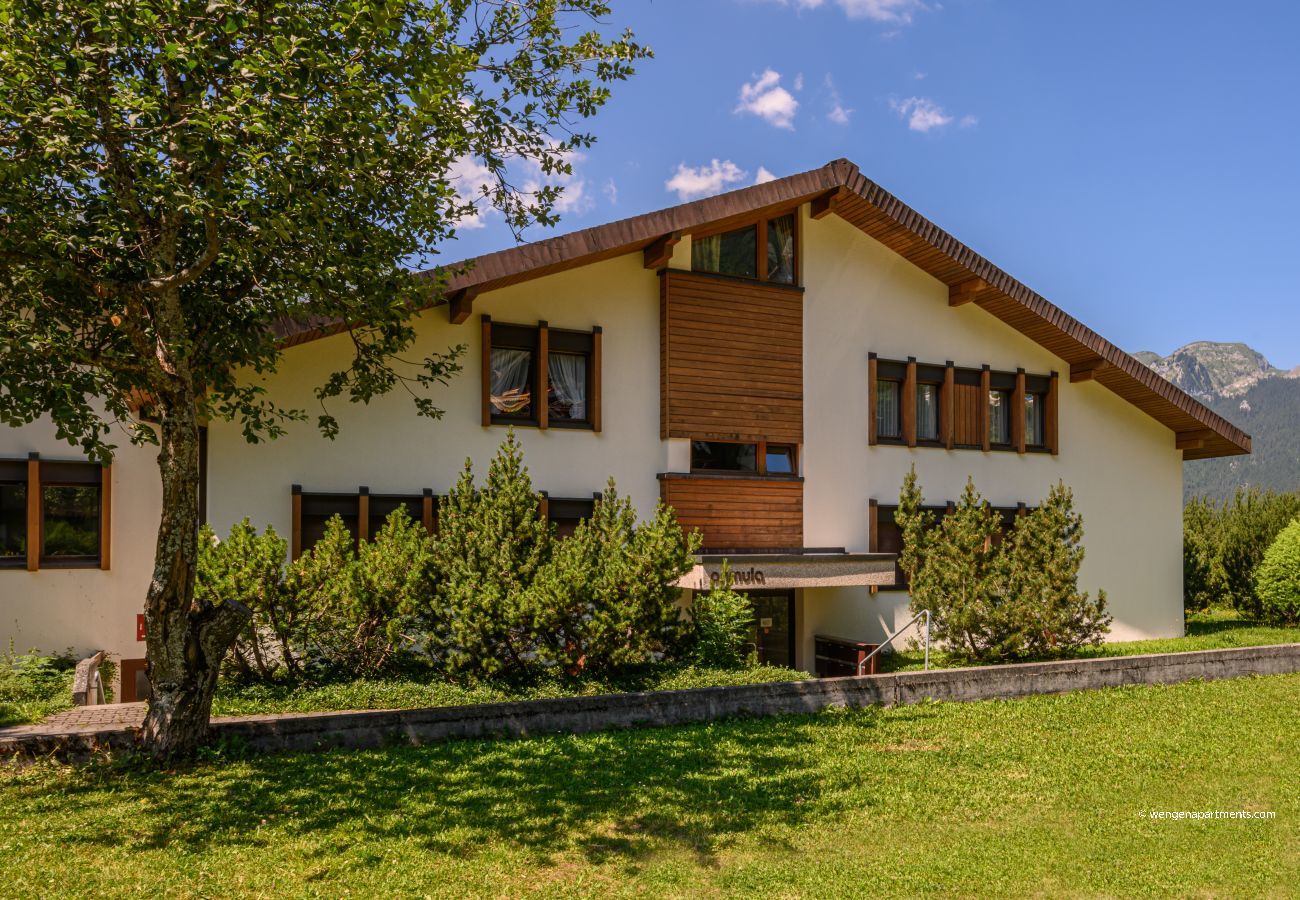 Apartment in Wengen - Chalet Primula Penthouse Apartment in Wengen - Chalet Primula Penthouse