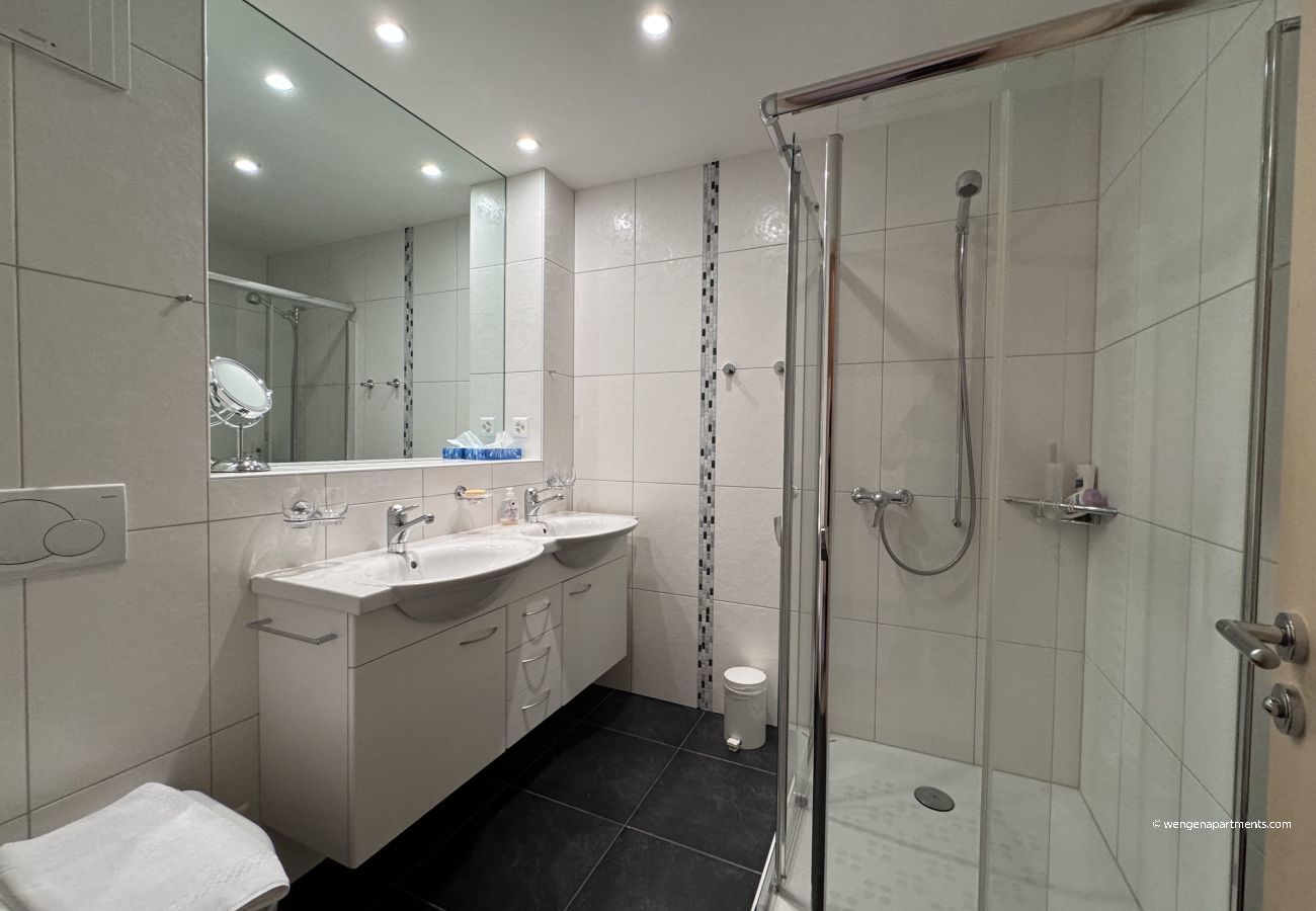 Apartment in Wengen - Chalet Bella Vista 12 Penthouse Apartment in Wengen - Chalet Bella Vista 12 Penthouse