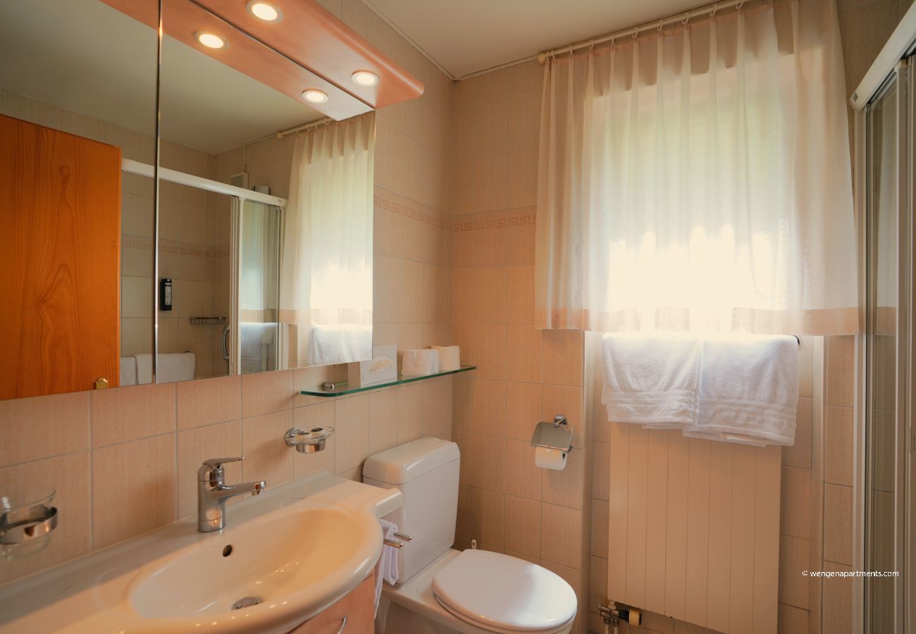 Apartment in Wengen - Chalet Miravalle 2 Apartment in Wengen - Chalet Miravalle 2